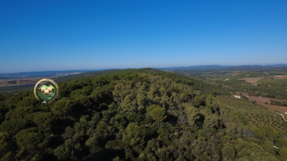 parque de la prehistoria de posadas